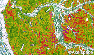 Satellite Imagery Analysis